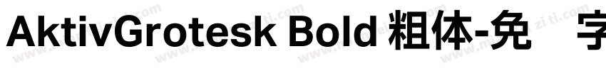 AktivGrotesk Bold 粗体字体转换